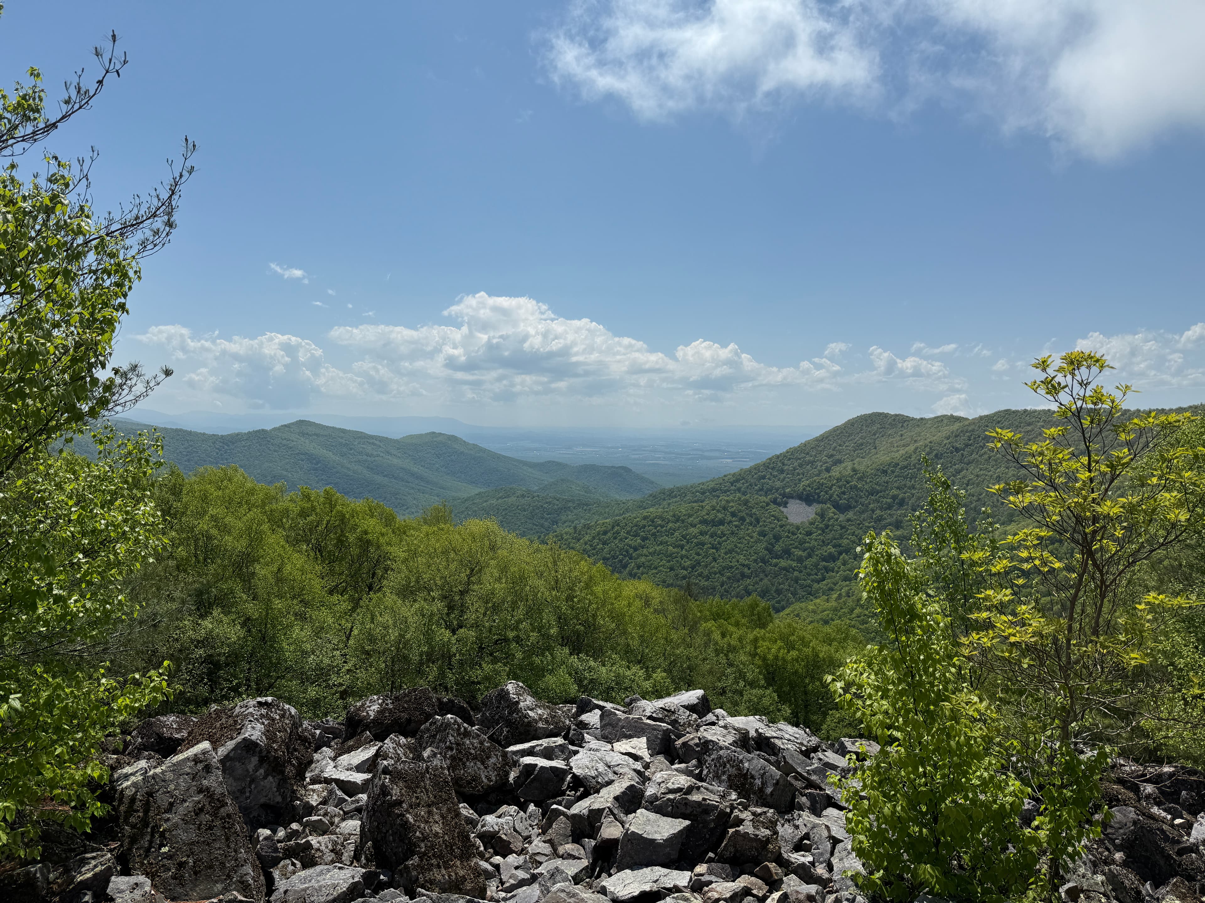 photo of Shenandoah National Park